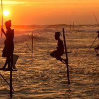 The Adventure of Choosing Your Home-Based Business