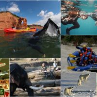 Cockermouth – Cumbria – One Great Adventure