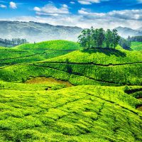 Why should you choose to visit Munnar?