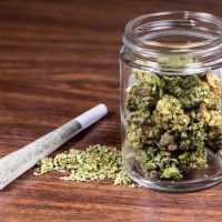 Buy Weed Online with Discreet Shipping Options