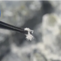 Avoid Unexpected Costs by Conducting Asbestos Testing in Advance