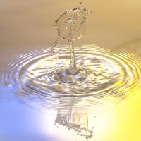 Drops, water, nature — Experience the World Through Internships Abroad with Maximo Nivel: Year-Round Opportunities