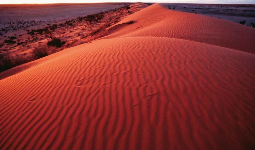 Dubai Red Desert: The History Behind the Red Dunes of Arabia